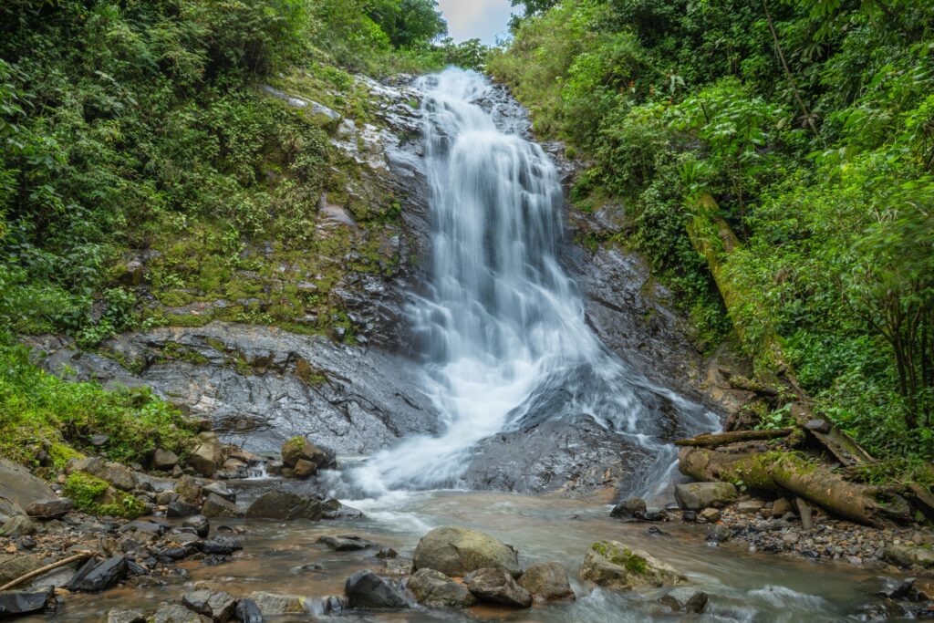 Beautiful waterfall cascading through Costa Rica's dense jungle, surrounded by vibrant green foliage.