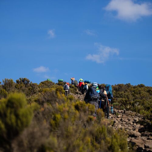 Group of hikers climbing a scenic mountain trail under a clear blue sky.